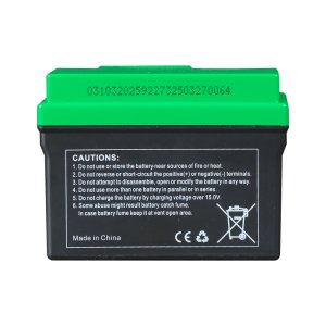 Аккумулятор FUBAG li-ion 3Ah для инверторного генератора TI 11000 A ES (арт. 646211) купить в Калининграде